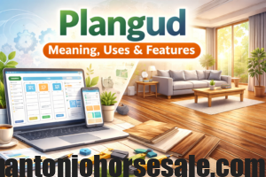 Plangud: Meaning Uses Features and Real Applications